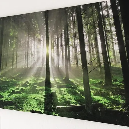 Treetown * 레겐스부르크
